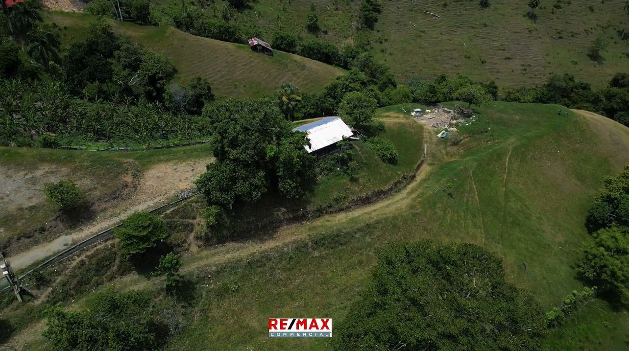 solares y terrenos - FINCA EN LOMA DEL COCO LA VEGA 2