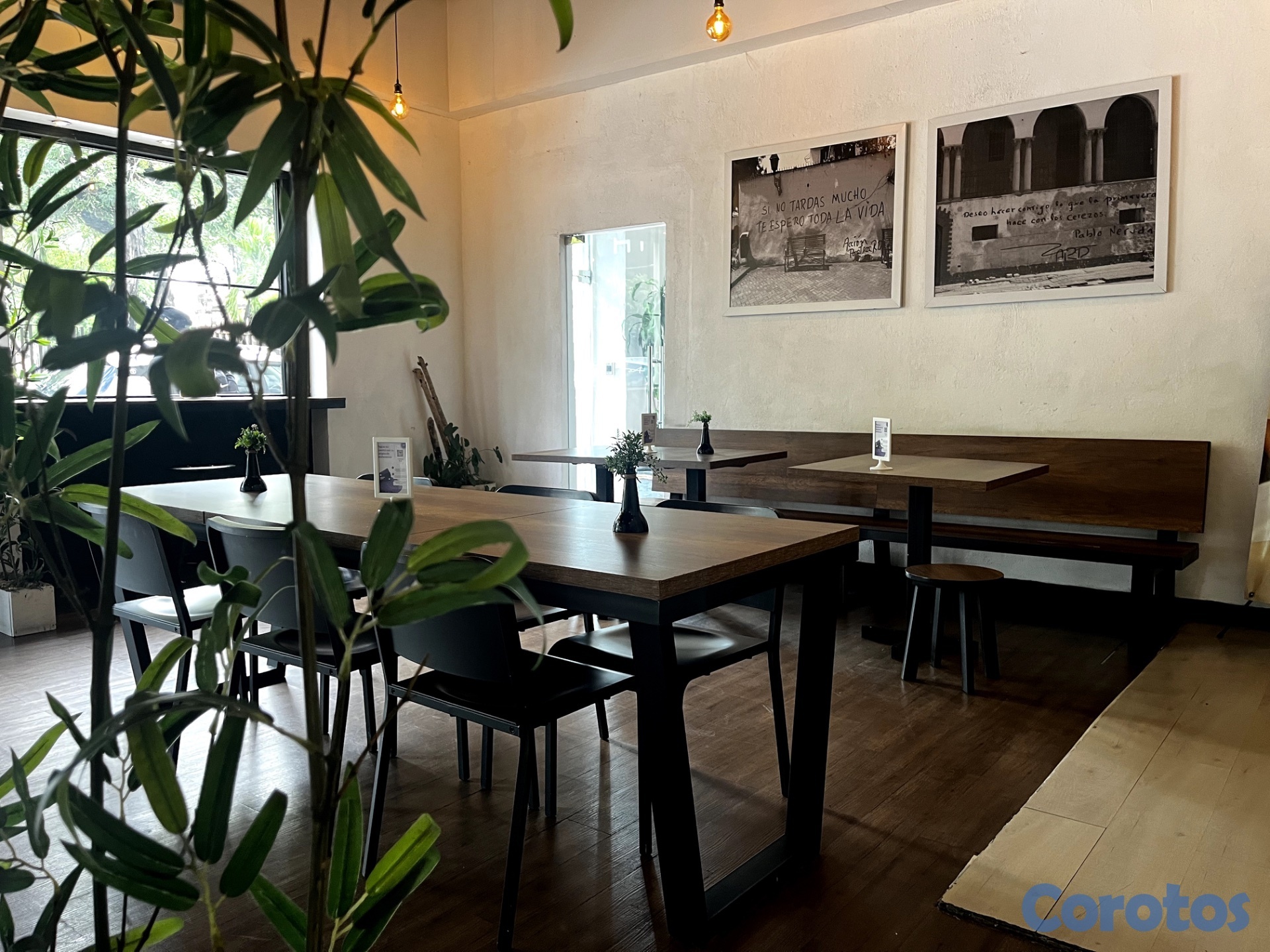 otros inmuebles - EDIFICIO EN VENTA CON NEGOCIOS EN LA ZONA COLONIAL 5