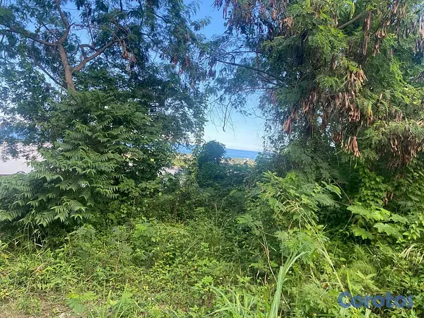 solares y terrenos - excelente solar en zona residencial de Puerto plata  6