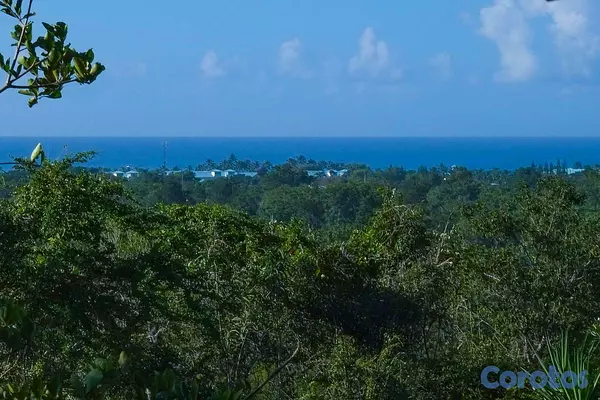 solares y terrenos - VENTA DE TERRENO EN BAHAHIBE - ZONA COSTERA DE REPÚBLICA DOMINICANA 3