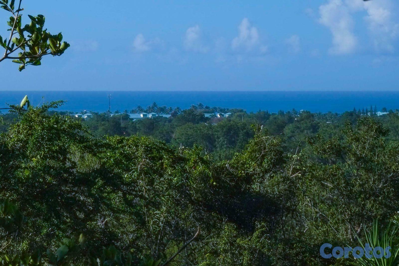 solares y terrenos - VENTA DE TERRENO EN BAHAHIBE - ZONA COSTERA DE REPÚBLICA DOMINICANA 3