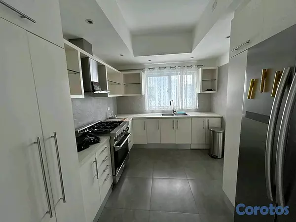 apartamentos - Penthouse en Alquiler con Terraza en Bella Vista 4