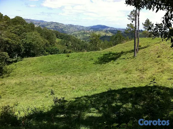 solares y terrenos - Finca en Jarabacoa 5