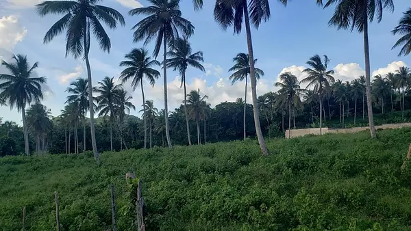 solares y terrenos - Solar en venta en Sanchez - Samana 2