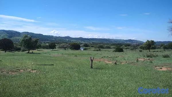 solares y terrenos - Finca Con Titulo 226 Tareas de Tierra.  10