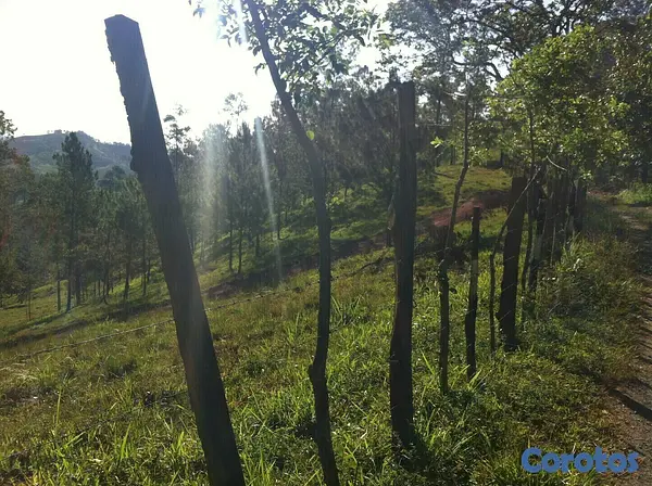 solares y terrenos - Finca en Jarabacoa 9