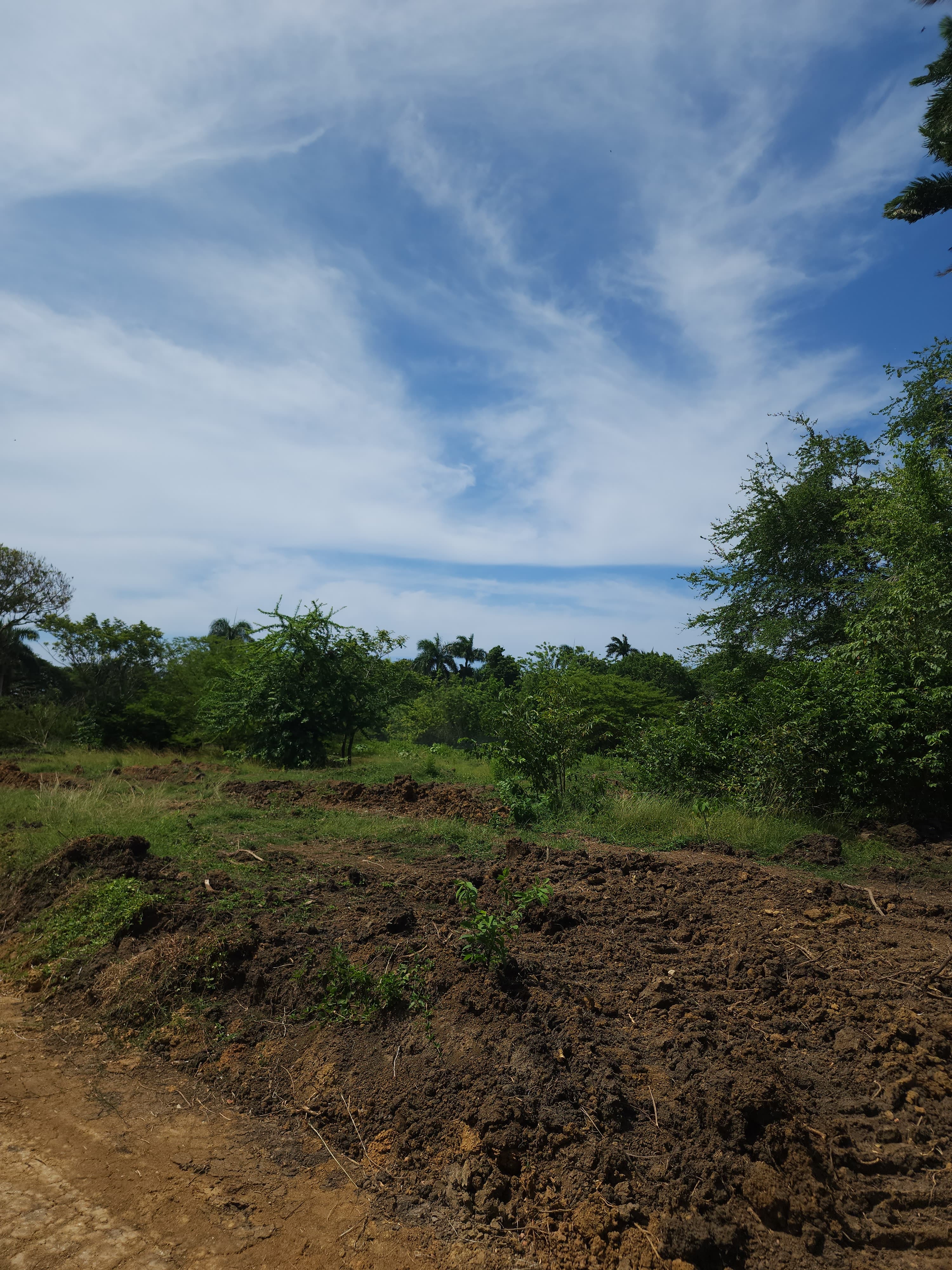 solares y terrenos - Proyecto de Terrenos a Precios Excelentes 2