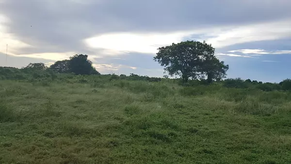 solares y terrenos - Solar de 50,000 metros Hipódromo / Las Américas 6