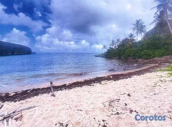 solares y terrenos - Vendo 72,185 Mts.2 CON PLAYA a 100 Mts. (Playa MADAMA), LAS GALERAS, 50% POR DEB 4