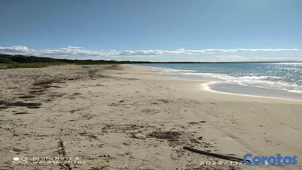 solares y terrenos - Solar con Playa en pedernales con mil mata de Coco 5