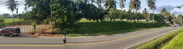 solares y terrenos - Solar en venta en Sanchez - Samana 3