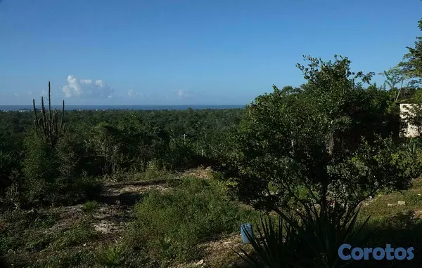 solares y terrenos - VENTA DE TERRENO EN BAHAHIBE - ZONA COSTERA DE REPÚBLICA DOMINICANA 4