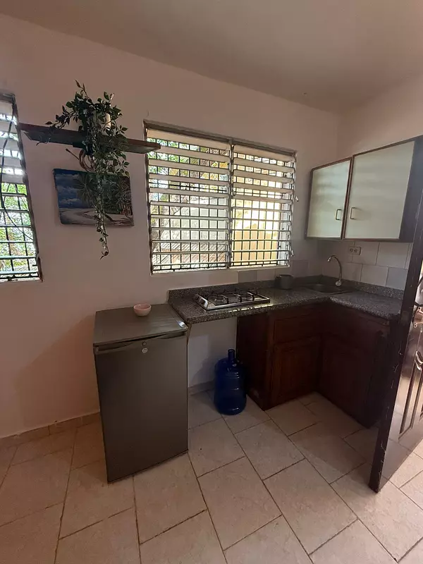 apartamentos - Alquiler Estudio, Gazcue, Santo Domingo 3