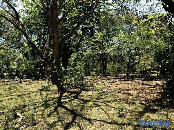 solares y terrenos -  VENDO SOLAR / TERRENO EN NIGUA SAN CRISTOBAL 2