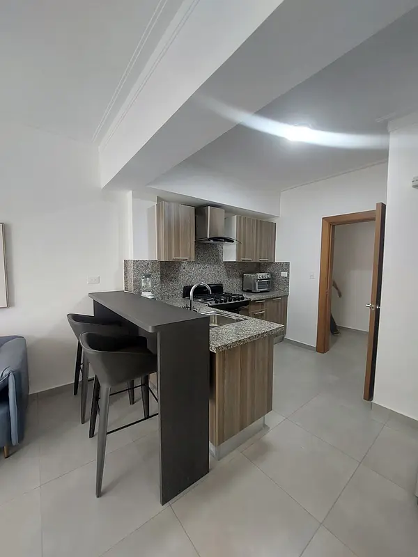 apartamentos - Apartamento nuevo amueblado en torre con amenidade 2