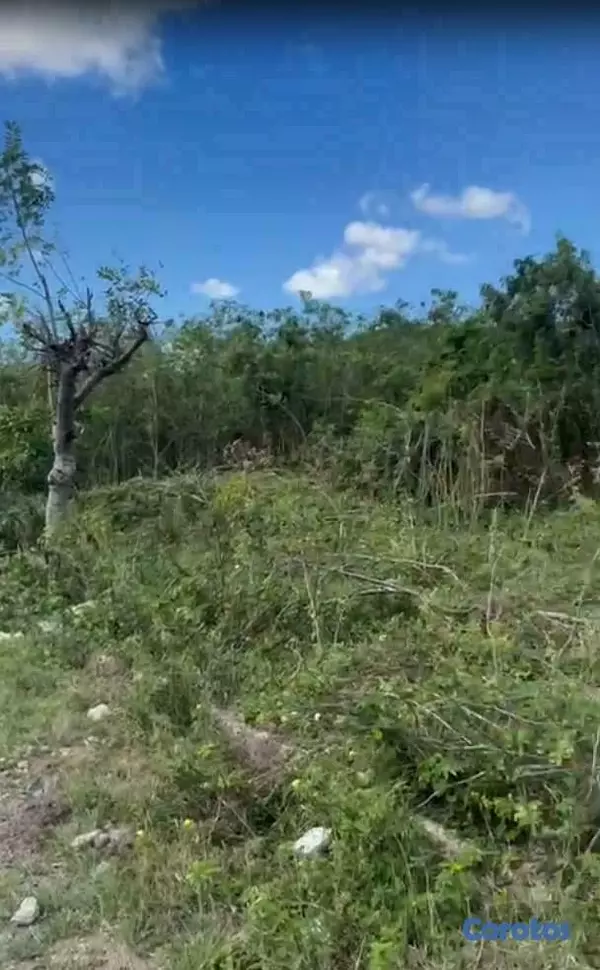 solares y terrenos - Se Alquila AMPLIO solar en Yaguate, 3155 Mt2 3