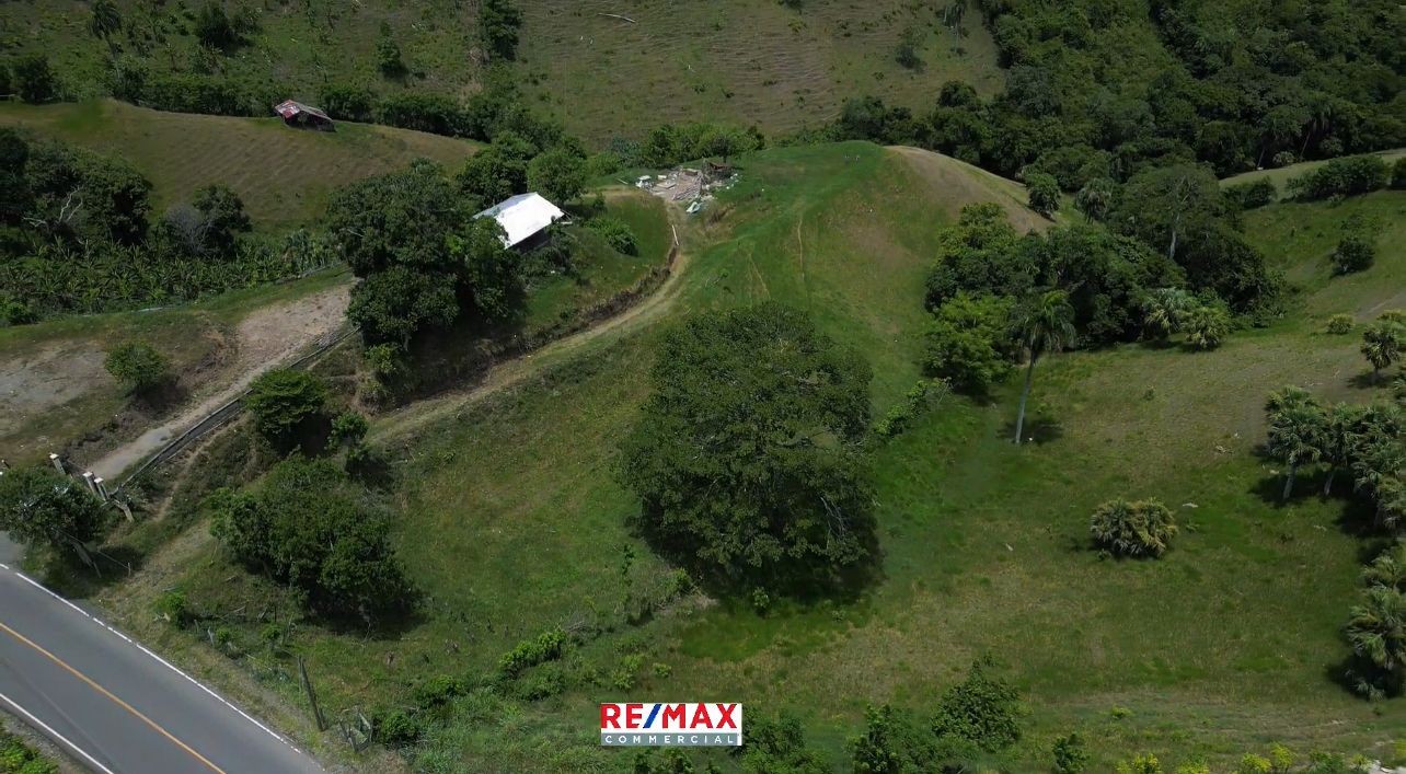 solares y terrenos - FINCA EN LOMA DEL COCO LA VEGA 6