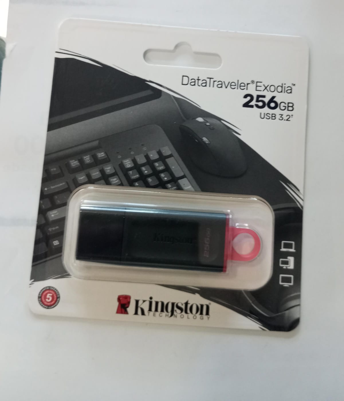computadoras y laptops - MEMORIA USB 256GB KINGSTON 0