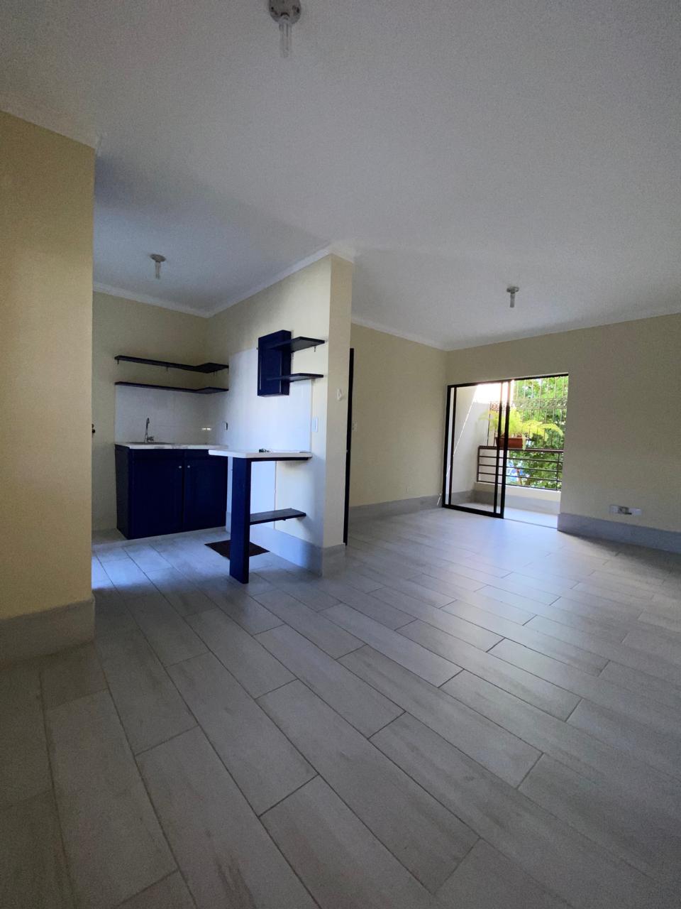 apartamentos - Apartamento en venta y renta en Arroyo Hondo Viejo 4