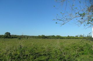 solares y terrenos - Vendo terreno en Santo Domingo Oeste  1