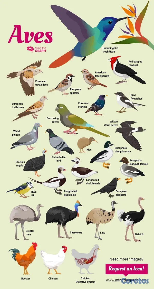 animales y mascotas - VETERINARIA MONTERO 12