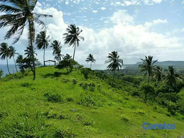 solares y terrenos - Se Vende Terreno con Playa Privada en Las Galeras, Samaná Samana 6