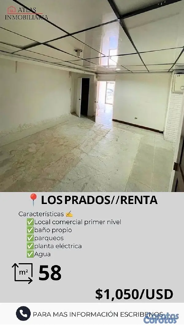 oficinas y locales comerciales - se alquila local 2