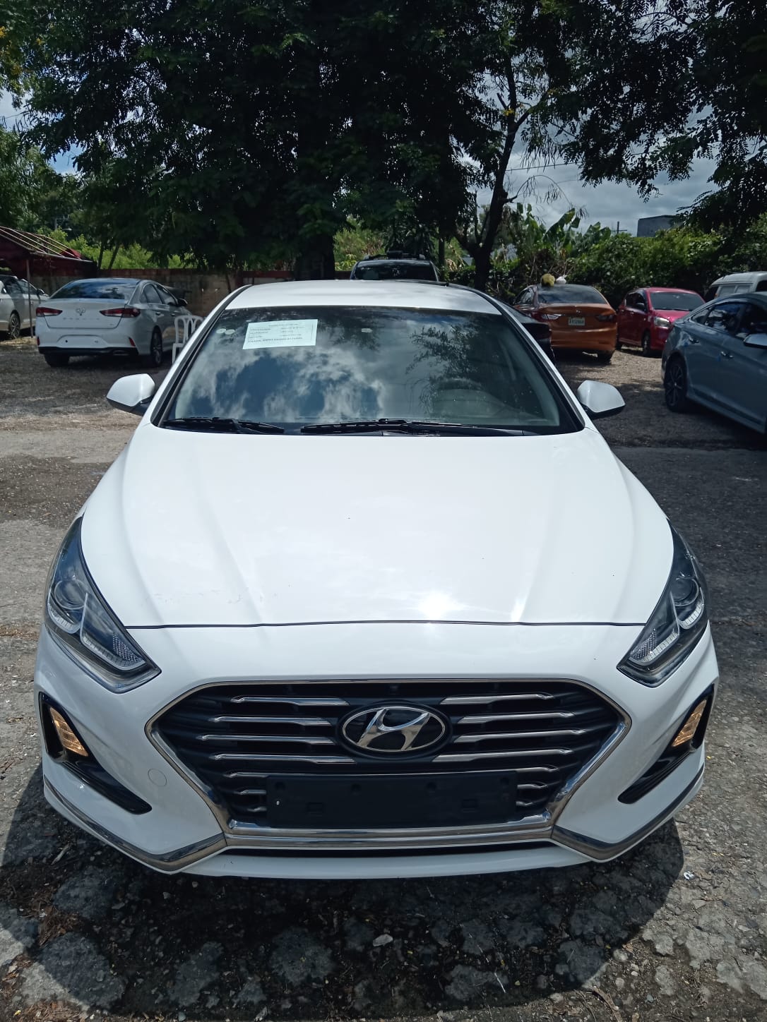 carros - HYUNDAI SONATA NEW RISE 2020 BLANCO 2
