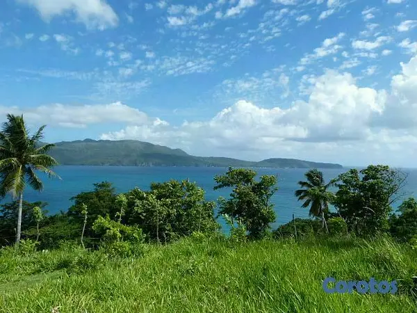 solares y terrenos - Se Vende Terreno con Playa Privada en Las Galeras, Samaná Samana 7