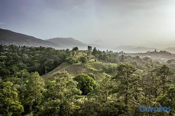 solares y terrenos - Proyecto Residencial de Solares en Piedra Blanca J 2