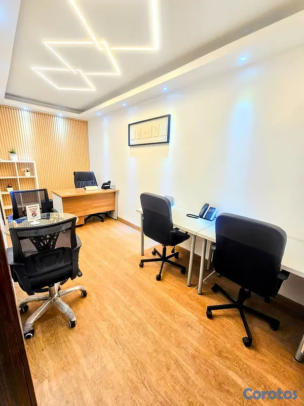 oficinas y locales comerciales - Alquiler de Oficinas Amuebladas en Céntrico Naco 4