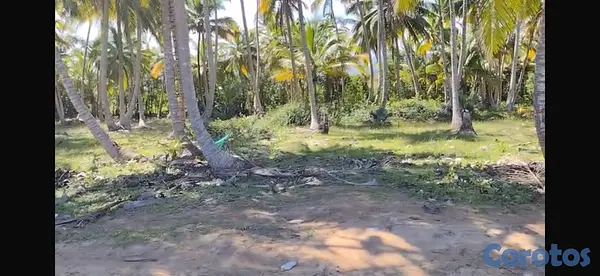 solares y terrenos - Terreno Frente a la playa - 17,615 m² - Sabana de  7