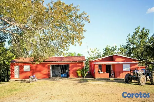 solares y terrenos - Finca de 5232 tareas totalmente ganadera y agrícol 3