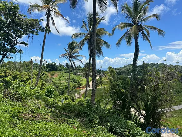 solares y terrenos - Terrenos con Vista Panorámica al Mar en Samaná #15 15