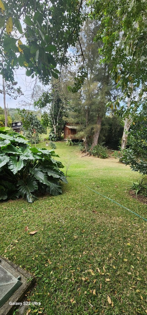 apartamentos - EN JARABACOA VENDO  SOLAR CON CASA Y 2 CABAÑAS SIN INTERMEDIARIOS 1