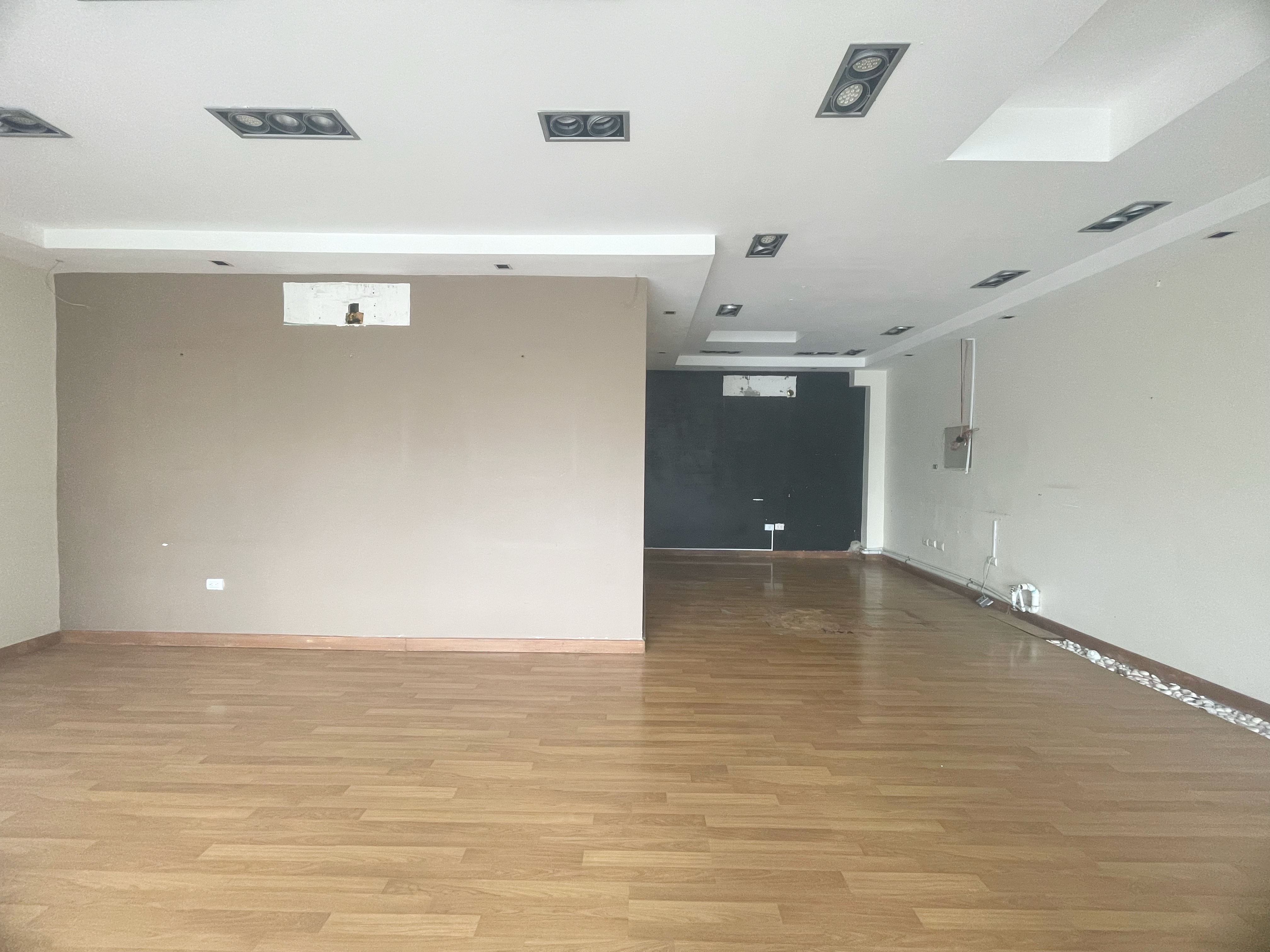 oficinas y locales comerciales - Alquiler local en Piantini  3