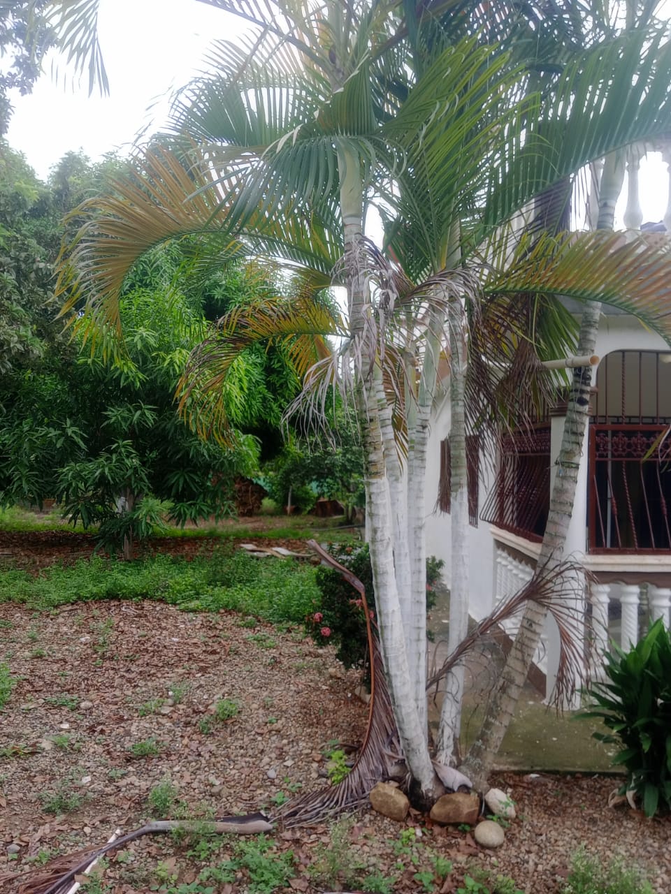 casas - AMPLIA CASA EN VENTA EN SANTIAGO 6