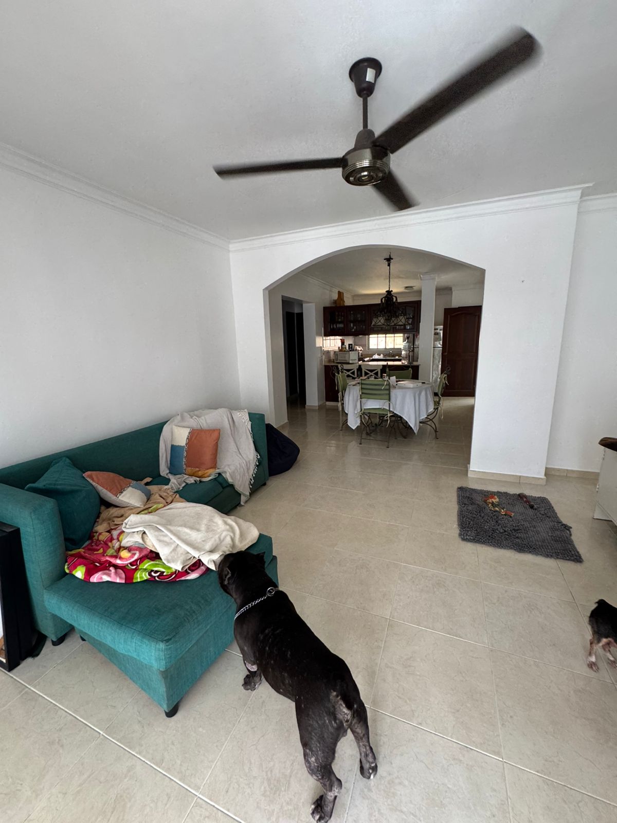 apartamentos - Apartamento en el Millón 206281 5
