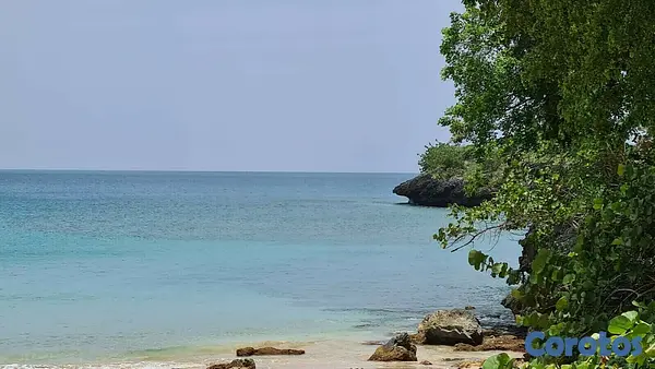 solares y terrenos - Se vende terreno en playa de Moron, Samana 8