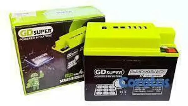 plantas e inversores - Bateria solar recargable 12v con conectores usb, i 3