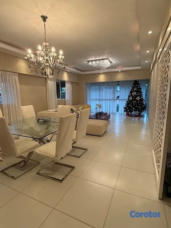 penthouses - Apto. en Gazcue, último piso con terraza 9