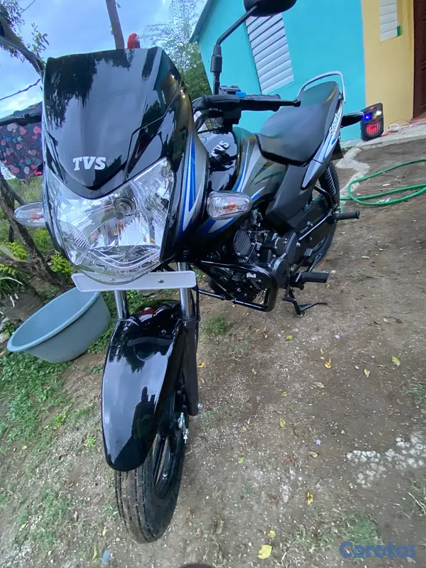 motores y pasolas - TVS 100 sport 2024 5