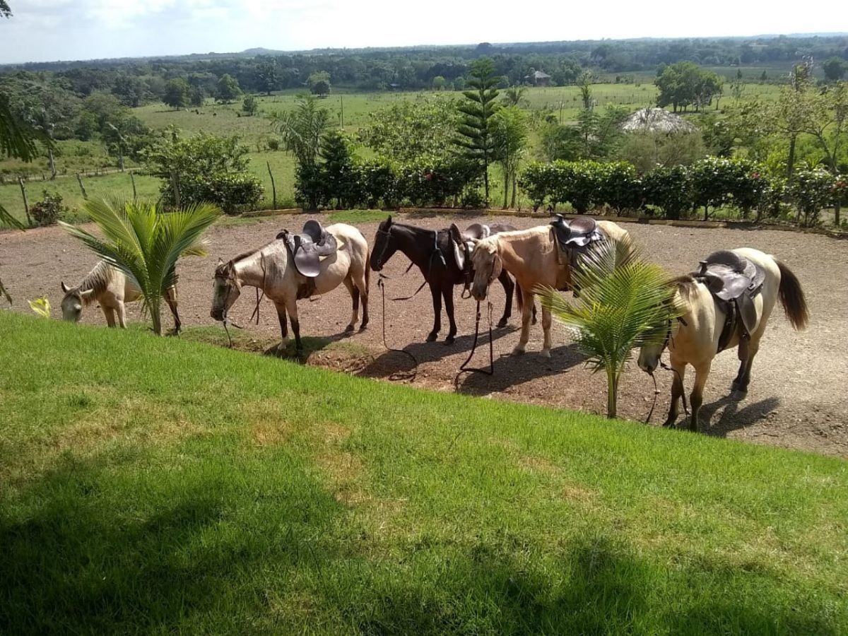 solares y terrenos - Solares en Venta en Monte Plata en Proyecto cerrado, ideal para Villas