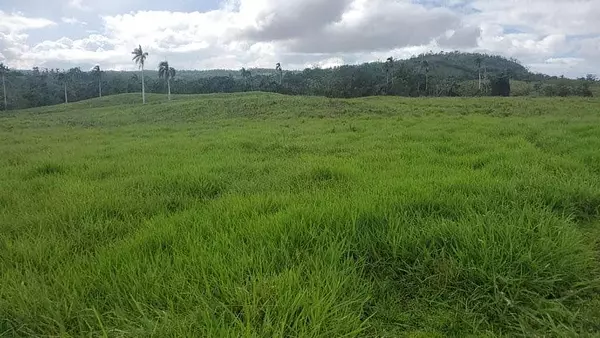 solares y terrenos - Finca de 4,480 tareas en Hato Mayor 5