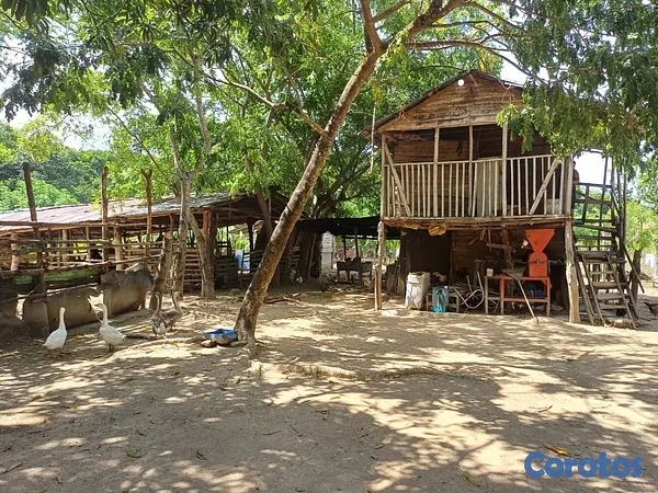 solares y terrenos - Venta de Finca en Gima, Fantino – Provincia Sánchez Ramírez 5