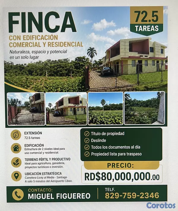 solares y terrenos - Venta de finca con edificación comercial / residencial 6