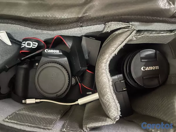 camaras y audio - canon T5 2