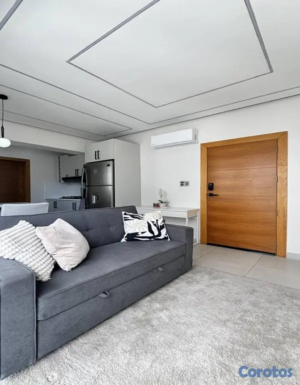 apartamentos - 1 Habitación Amueblado En Piantini 3