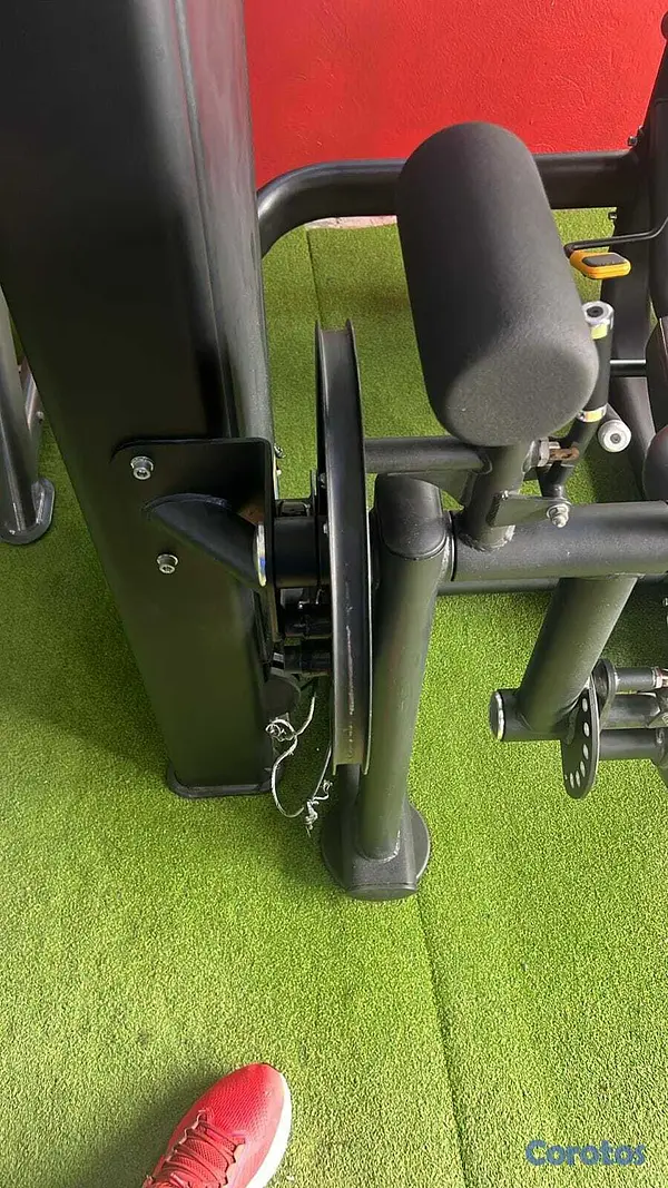servicios profesionales - Reparación de caminadoras y equipos de gimnasio. 3
