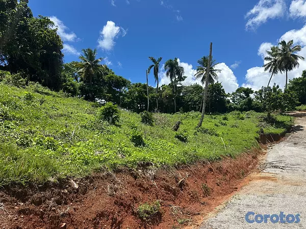 solares y terrenos - Terrenos con Vista Panorámica al Mar en Samaná #15 13
